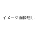 【SEGA】 エキサイティングスピードホッケー