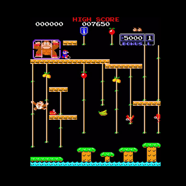 ドンキーコング JR. (JAMMA変換ハーネス+反転基板+アンプ&ボリューム付)